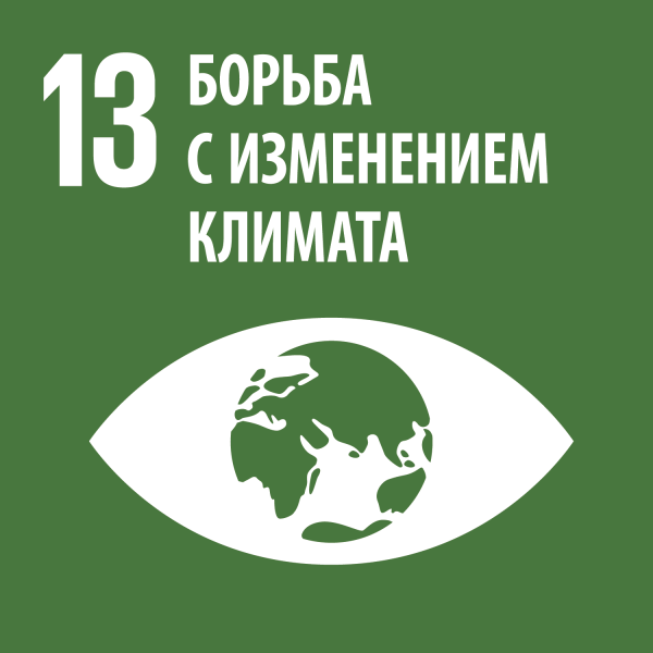 Цель 13