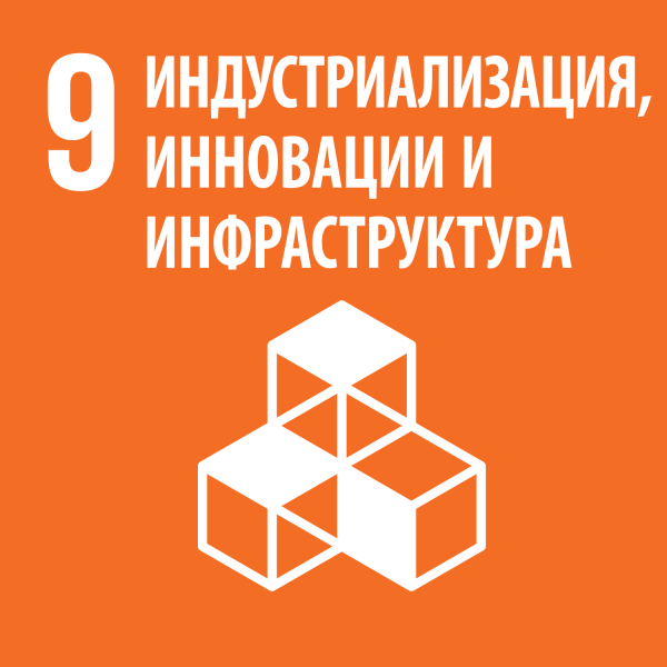 Цель 9