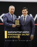 Признание заслуг и успехов